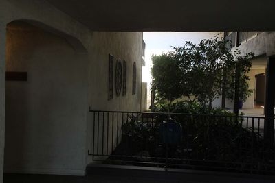 IMG_4289.jpg