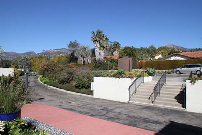 IMG_4291.jpg