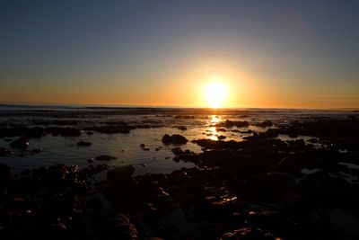IMG_4361.jpg