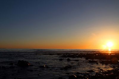 IMG_4372.jpg