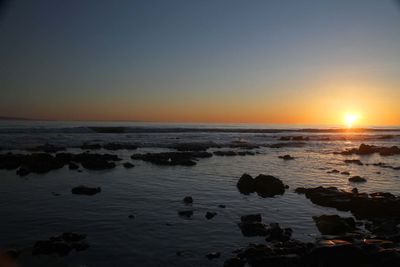 IMG_4374.jpg