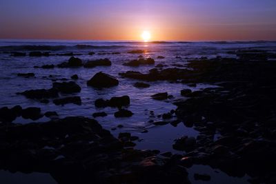IMG_4377.jpg