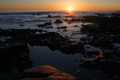 IMG_4379.jpg