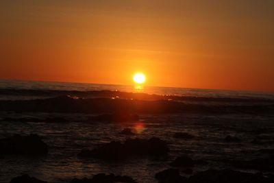 IMG_4383.jpg