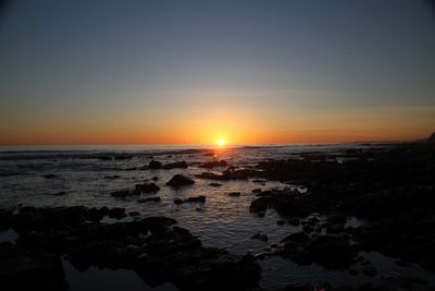 IMG_4387.jpg