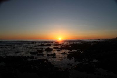 IMG_4388.jpg