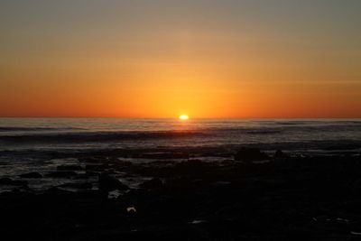 IMG_4392.jpg