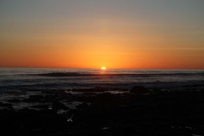 IMG_4393.jpg