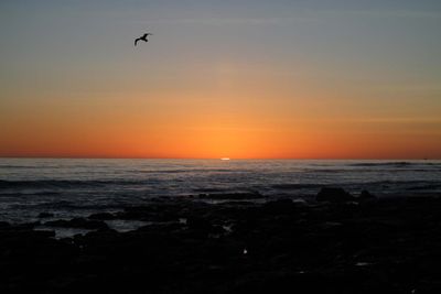 IMG_4398.jpg