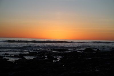 IMG_4399.jpg