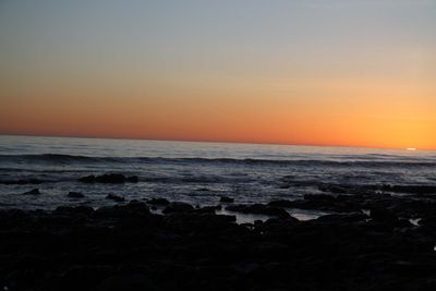 IMG_4401.jpg