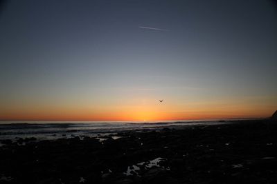 IMG_4402.jpg