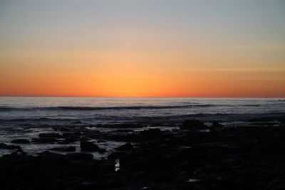IMG_4403.jpg
