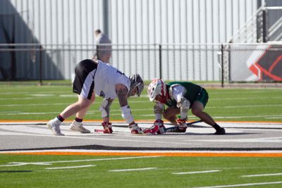 IMG_8393.jpg