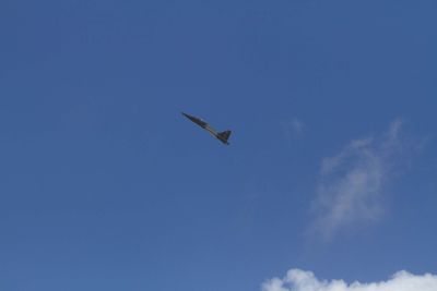 IMG_5579.jpg