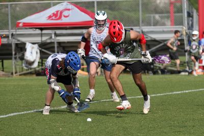 IMG_2222.jpg