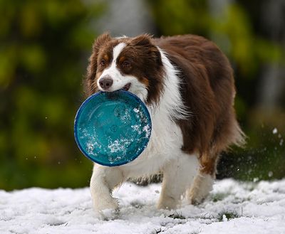 Darby_5356_1000p.jpg