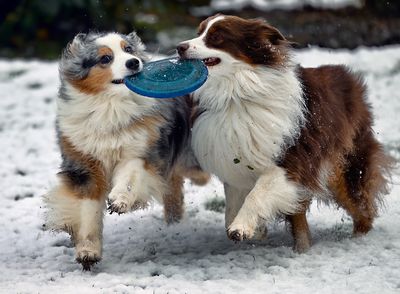 Wallee_Darby_4496_1000p.jpg