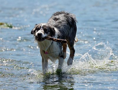 _DSC6548_72pi.jpg