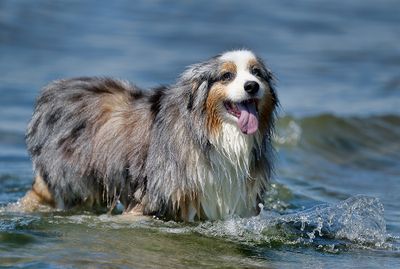 20240804_Wallee_5602_1000p.jpg