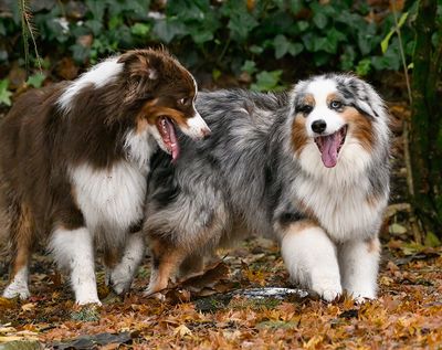 Darby6_Wallee_4829_1000p.jpg