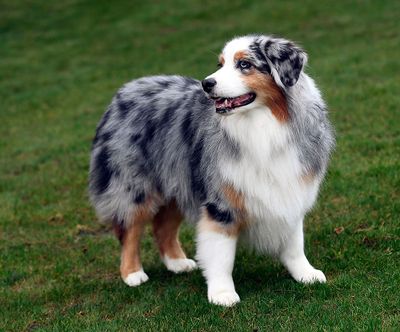 Darby_Wallee_01162021_72pi_16.jpg
