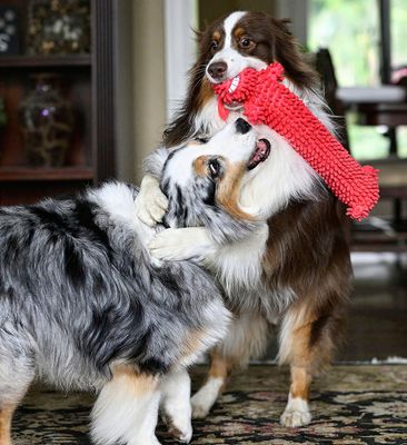 Darby_Wallee_04132022_3264_72pi.jpg
