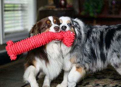 Darby_Wallee_04132022_3290_72pi.jpg