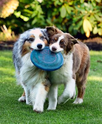 Darby_Wallee_09222020_0886_72pi.jpg