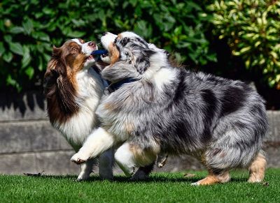 Darby_Wallee_0972_1000p.jpg