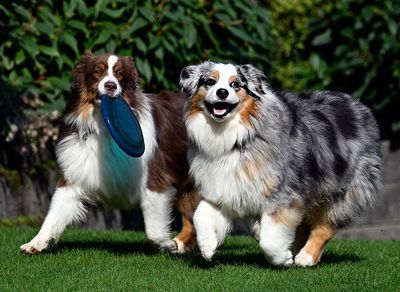 Darby_Wallee_0980_1000p.jpg
