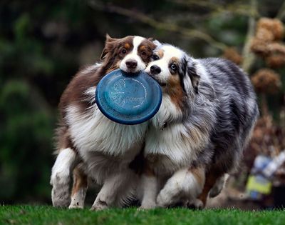 Darby_Wallee_1318_72pi.jpg