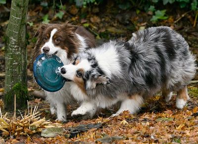 Darby_Wallee_4841_1000p.jpg