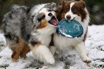Darby_Wallee_5218_1000p.jpg