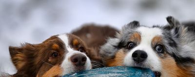 Darby_Wallee_5299_1000.jpg