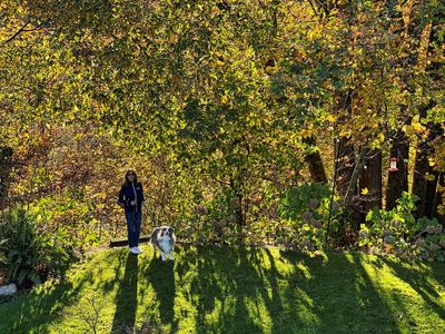 Janelle_Wallee_Backyard_10272019_8_72pi.jpg