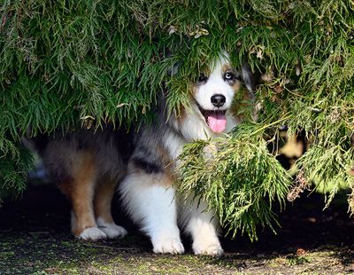 Wallee_0802_1000p.jpg