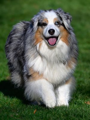 Wallee_0850_72pi.jpg