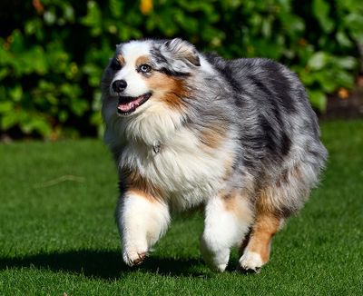 Wallee_1056_1000p.jpg
