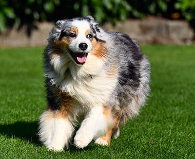 Wallee_1068_1000p.jpg