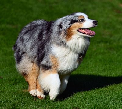 Wallee_2477_1000p.jpg