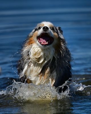 Wallee_3146_1000p.jpg