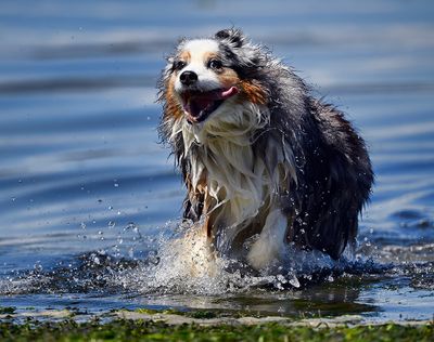 Wallee_3288_1000p.jpg