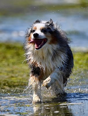 Wallee_3967_1000p.jpg