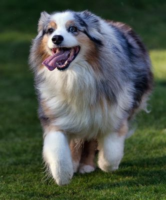 Wallee_4122_1000p.jpg