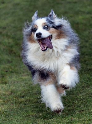 Wallee_4162_1000p.jpg