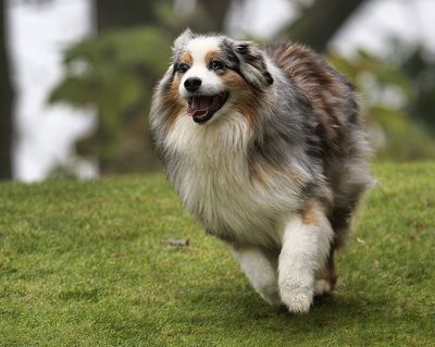 Wallee_4433_1000p.jpg