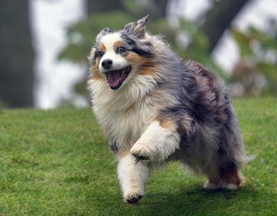 Wallee_4435_1000p.jpg