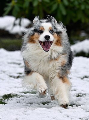 Wallee_4604_1000p.jpg