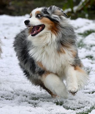 Wallee_4781_1000p.jpg